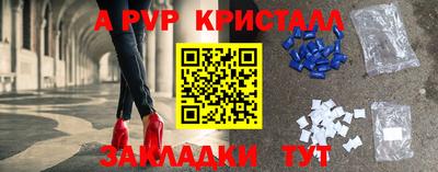 хмурый Тула