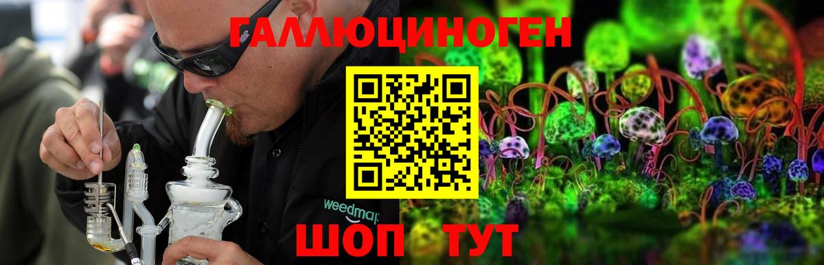 Псилоцибиновые грибы ЛСД Баксан